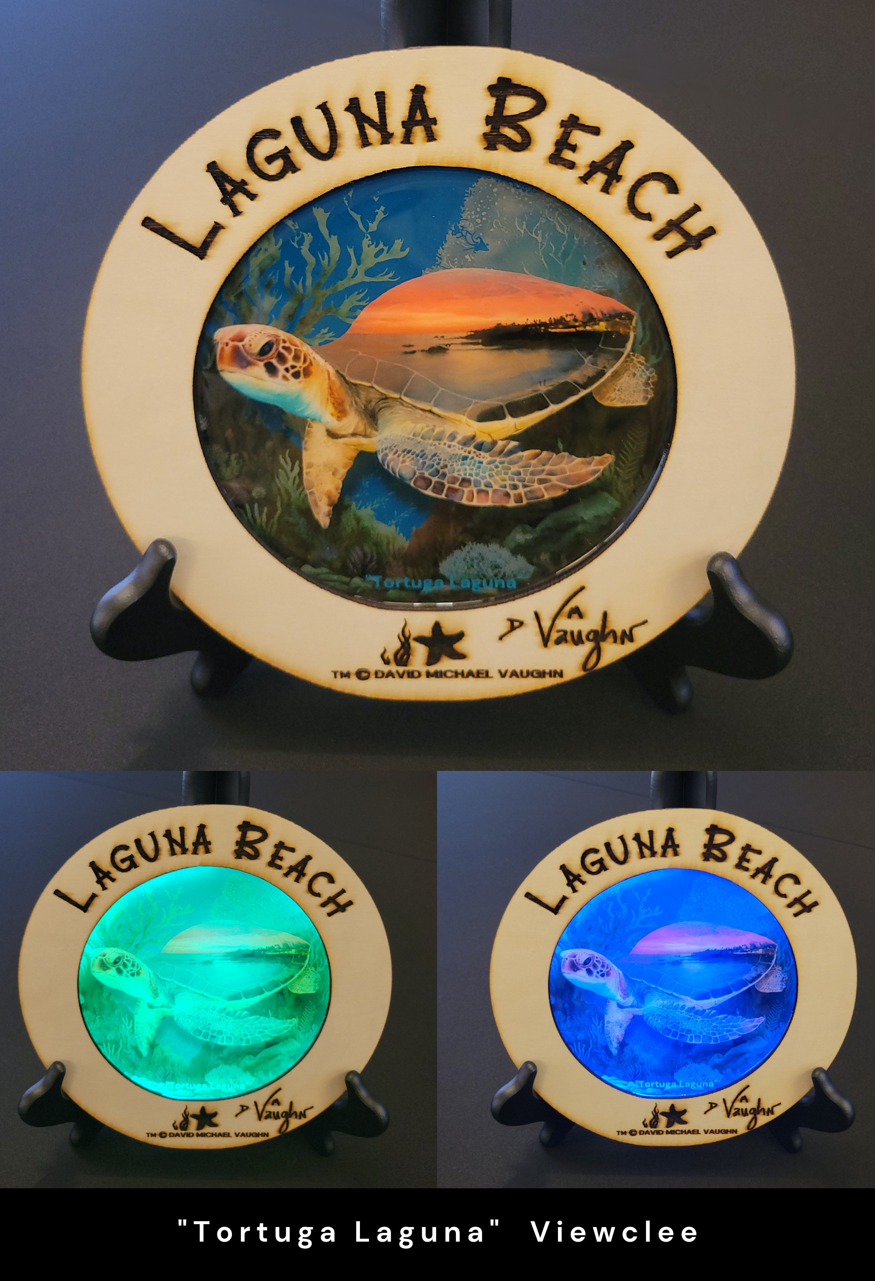 Tortuga Laguna - Viewclee